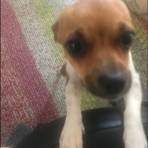 Meet your Posher, Skyler